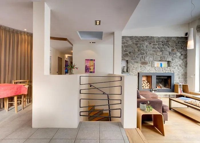 Safari. Face Au Mont-blanc. Chamonix