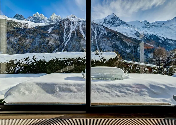 Safari. Face Au Mont-blanc. Chamonix